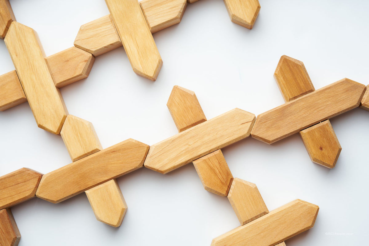 【専用】Bauspiel　２点おまとめ＊ 専用】2点おまとめ 専用】Bauspiel 2点おまとめ＊ 積み木